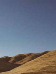 Becoming a solitary 