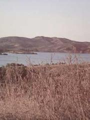 The Beloved Physicia