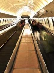 The Realm of the Dao