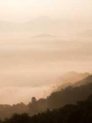 lt;Marry at first si