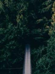 Becoming a solitary 
