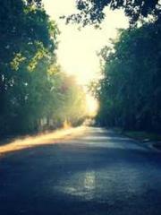 The Rough Man Hunter