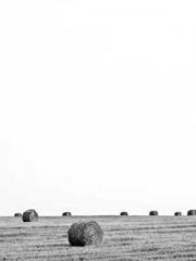 One Pregnancy, Two B