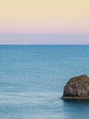 lt;lt;lt;Visionary S