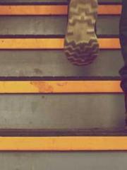 Becoming a solitary 