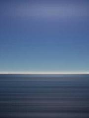 One Pregnancy, Two B