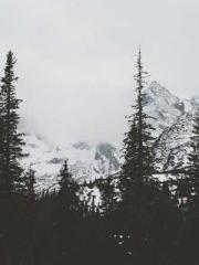 Cold-hearted Inkapos