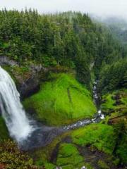 My projections are a