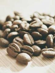 My pets are all amaz