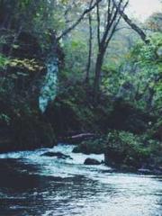 The Ugly Womanapos;s