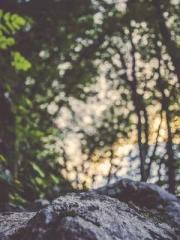 The Realm of the Dao