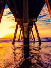 Double Blessing: CEO