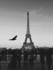 Becoming a solitary 