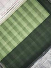 lt;Ye Qingyun, Tiany