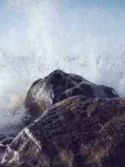 The young masterapos