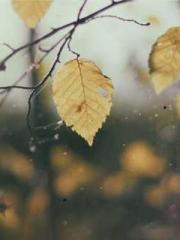 Eternal Sword Ancest